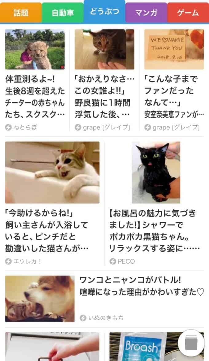 スマートニュースの動物チャンネル欄