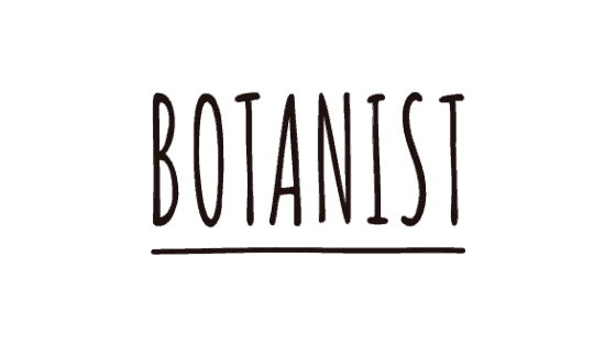 【最新】BOTANIST(ボタニスト)割引クーポン･キャンペーンまとめ